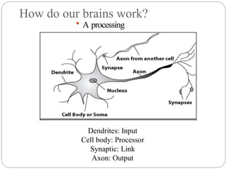 How do our brains work?
 A processing
element
Dendrites: Input
Cell body: Processor
Synaptic: Link
Axon: Output
 