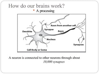 How do our brains work?
 A processing
element
A neuron is connected to other neurons through about
10,000 synapses
 