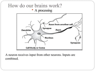 How do our brains work?
 A processing
element
A neuron receives input from other neurons. Inputs are
combined.
 