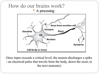 How do our brains work?
 A processing
element
Once input exceeds a critical level, the neuron discharges a spike
‐ an electrical pulse that travels from the body, down the axon, to
the next neuron(s)
 