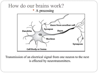 How do our brains work?
 A processing
element
Transmission of an electrical signal from one neuron to the next
is effected by neurotransmitters.
 