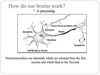 How do our brains work?
 A processing
element
Neurotransmitters are chemicals which are released from the first
neuron and which bind to the Second.
 
