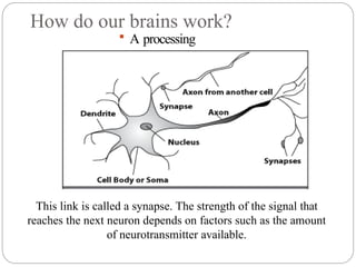 How do our brains work?
 A processing
element
This link is called a synapse. The strength of the signal that
reaches the next neuron depends on factors such as the amount
of neurotransmitter available.
 