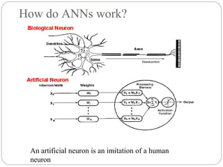 How do ANNs work?
An artificial neuron is an imitation of a human
neuron
 