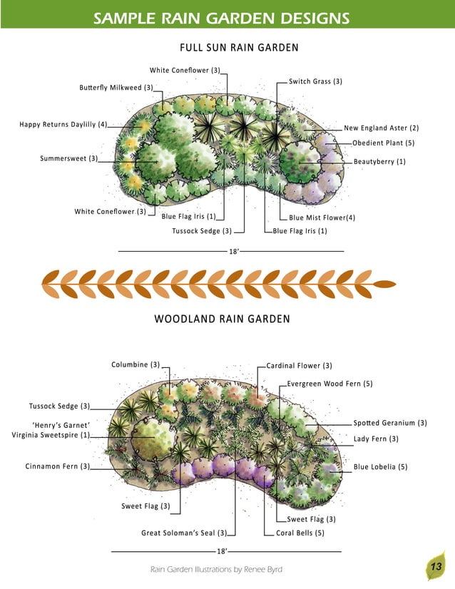South Carolina Rain Garden Manual PDF