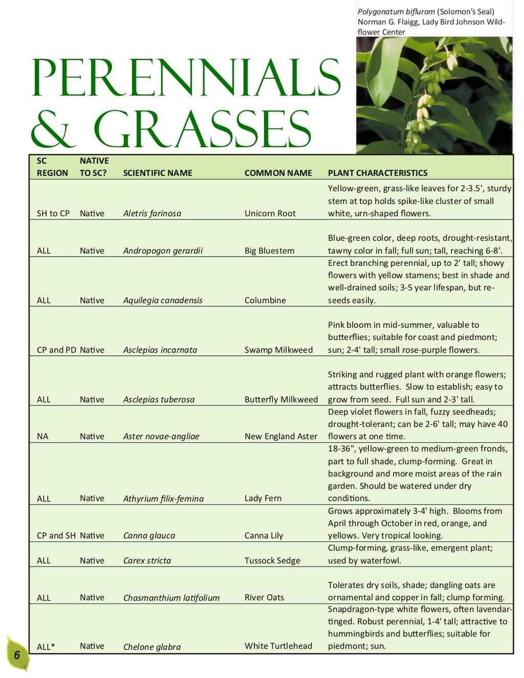 South Carolina Rain Garden Manual