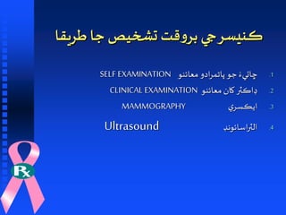 Public awarness on breast cancer by dr naz in sindhi | PPT