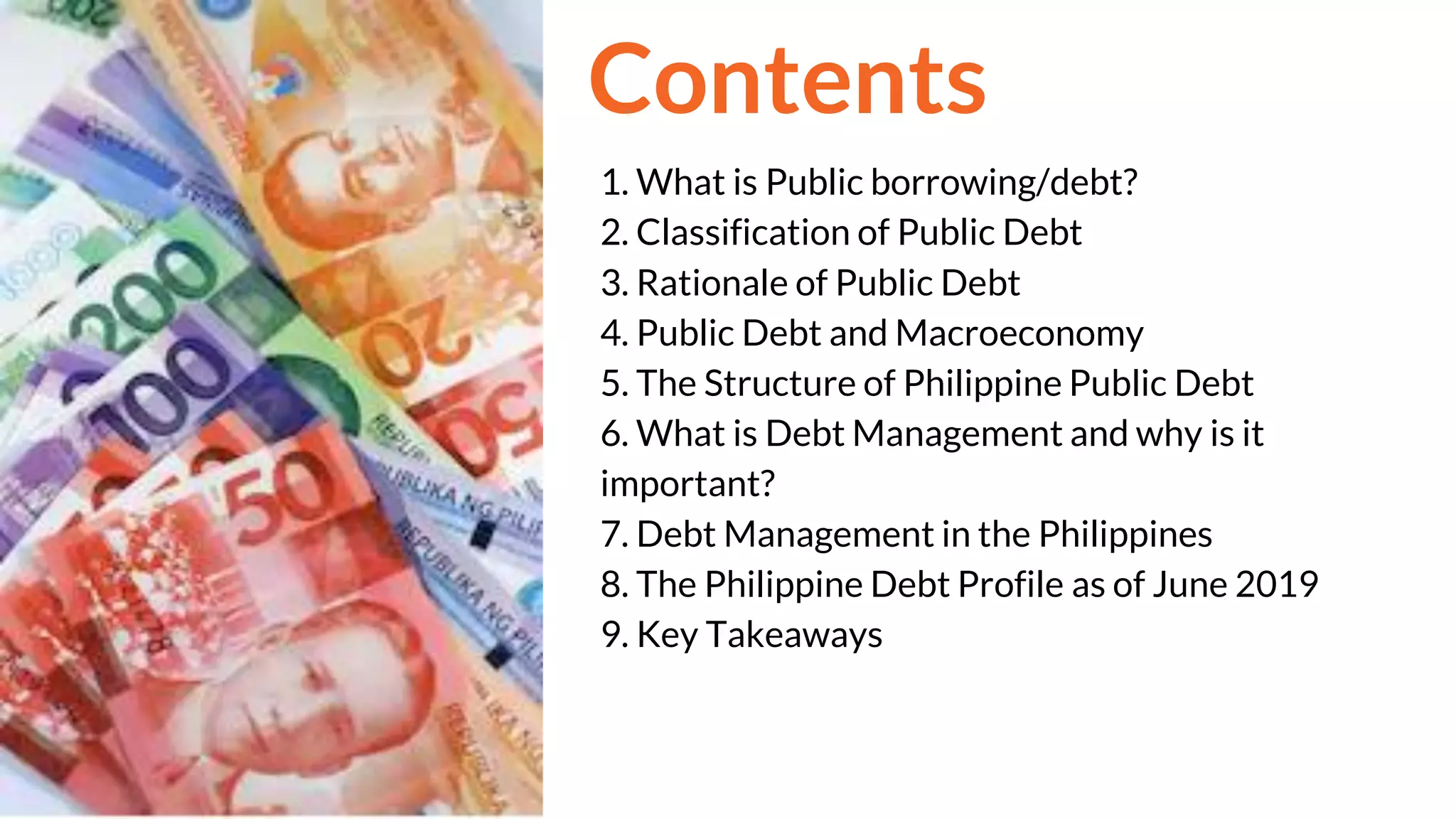 Public Borrowing and Debt Management | PDF