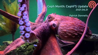 1
Ceph Month: CephFS Update
2021.06.21
Patrick Donnelly
 