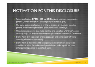 MOTIVATION FOR THIS DISCLOSURE
       Patent application EP2521438 by SG Biofuels attempts to protect a
          generic „female only (FO)“ trait in Jatropha curcas L. (JcL)
       The same patent application is trying to protect an absolutly standard
          general method for hybrid seed production in its use for JcL
       This disclosure proves that male sterility or a so called „FO trait“ occurs
          naturally in JcL, at least in one accession picked from the wild in Guatemala
       Bionic Palm is in possesion of that accession and using it actively in its
          breeding efforts for improved JcL
       Bionic Palm is determined to keep Jatropha development as open as
          possible for all, as the only sound possibility to make significant plant
          enhancement possible in the short term.




© COPYRIGHT 2013 BIONIC PALM LIMITED                                                  29/01/2013   2
 