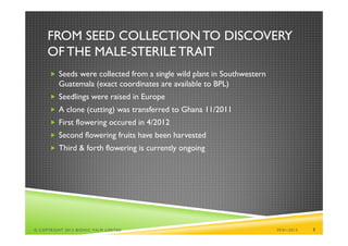 FROM SEED COLLECTION TO DISCOVERY
     OF THE MALE-STERILE TRAIT
       Seeds were collected from a single wild plant in Southwestern
          Guatemala (exact coordinates are available to BPL)
       Seedlings were raised in Europe
       A clone (cutting) was transferred to Ghana 11/2011
       First flowering occured in 4/2012
       Second flowering fruits have been harvested
       Third & forth flowering is currently ongoing




© COPYRIGHT 2013 BIONIC PALM LIMITED                                    29/01/2013   3
 
