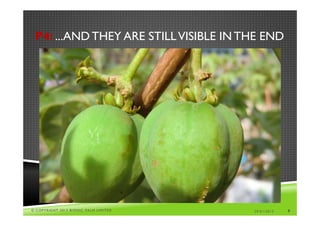 P4: ...AND THEY ARE STILL VISIBLE IN THE END




© COPYRIGHT 2013 BIONIC PALM LIMITED   29/01/2013   9
 