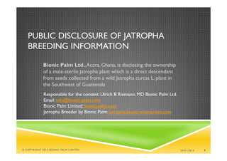 PUBLIC DISCLOSURE OF JATROPHA
   BREEDING INFORMATION

             Bionic Palm Ltd., Accra, Ghana, is disclosing the ownership
             of a male-sterile Jatropha plant which is a direct descendant
             from seeds collected from a wild Jatropha curcas L. plant in
             the Southwest of Guatemala
             Responsible for the content: Ulrich B Riemann, MD Bionic Palm Ltd.
             Email: info@bionic-palm.com
             Bionic Palm Limited: bionic-palm.com
             Jatropha Breeder by Bionic Palm: jatropha.bionic-enterprises.com




© COPYRIGHT 2013 BIONIC PALM LIMITED                                              29/01/2013   1
 