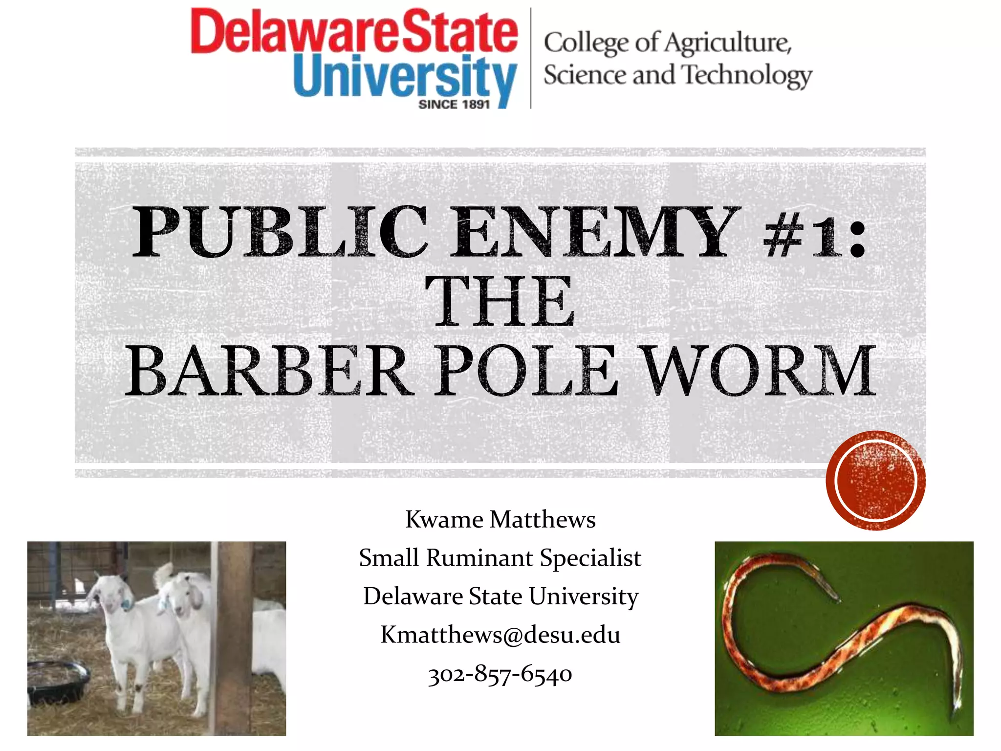 The Barber Pole Worm: Could You Be Infected? - 3cp3vxt