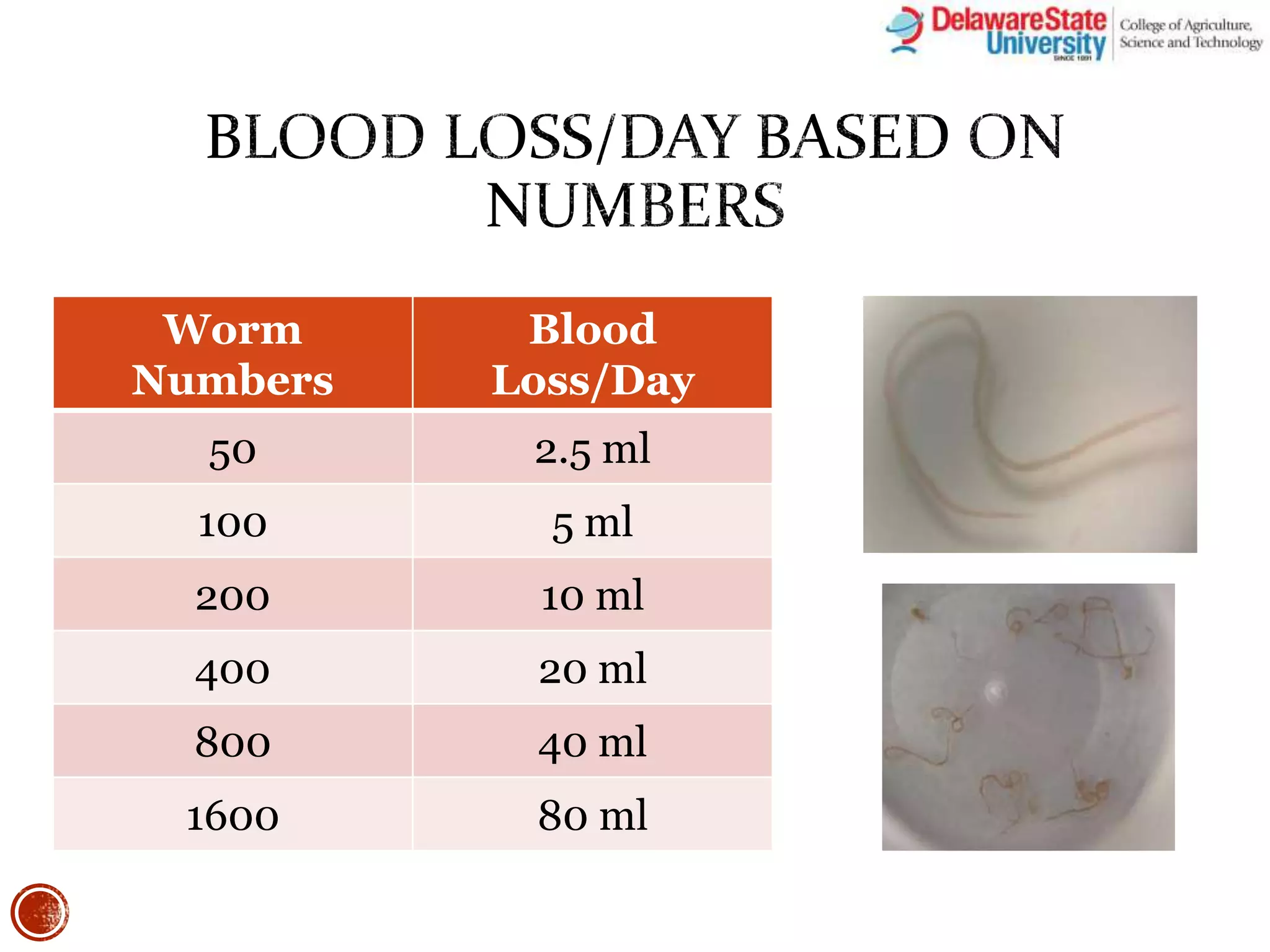 The Barber Pole Worm: Could You Be Infected? - 57020vp