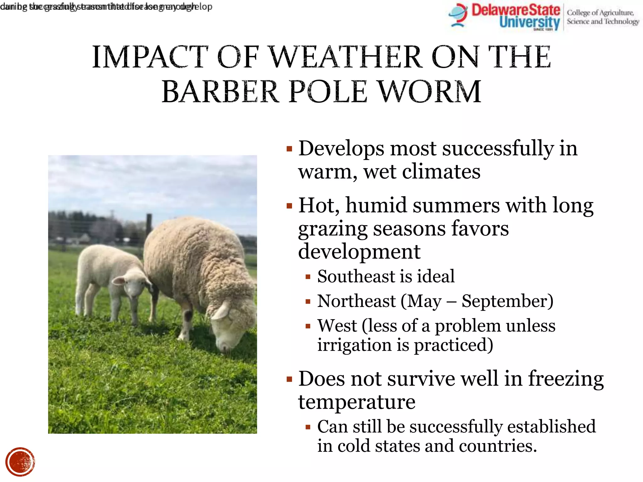 The Barber Pole Worm: Could You Be Infected? - rbiv6zp