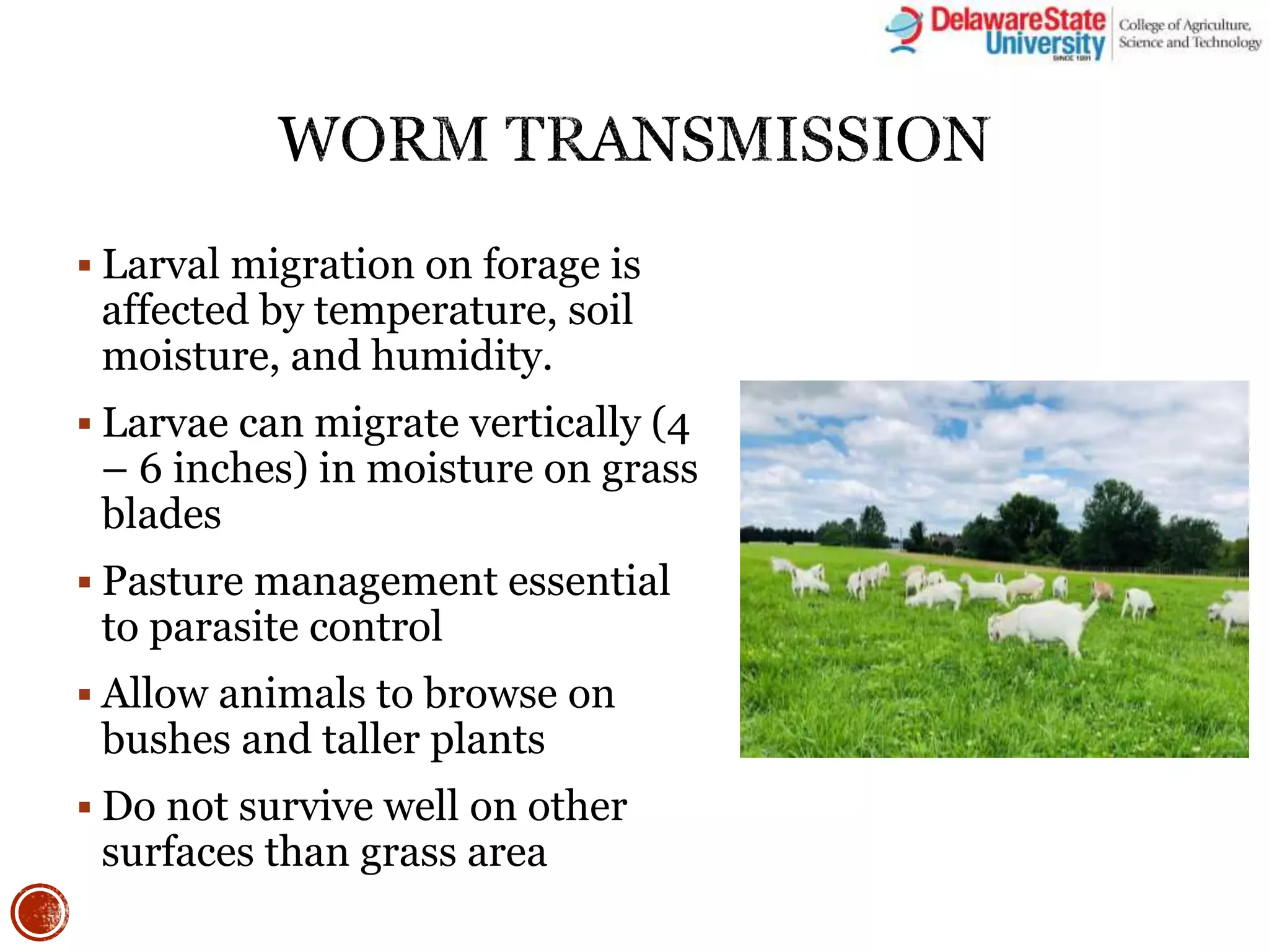  Larval migration on forage is
affected by temperature, soil
moisture, and humidity.
 Larvae can migrate vertically (4
– 6 inches) in moisture on grass
blades
 Pasture management essential
to parasite control
 Allow animals to browse on
bushes and taller plants
 Do not survive well on other
surfaces than grass area
 