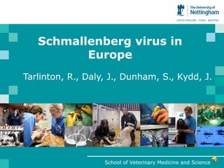 Schmallenberg virus in
          Europe
Tarlinton, R., Daly, J., Dunham, S., Kydd, J.




                   School of Veterinary Medicine and Science
 