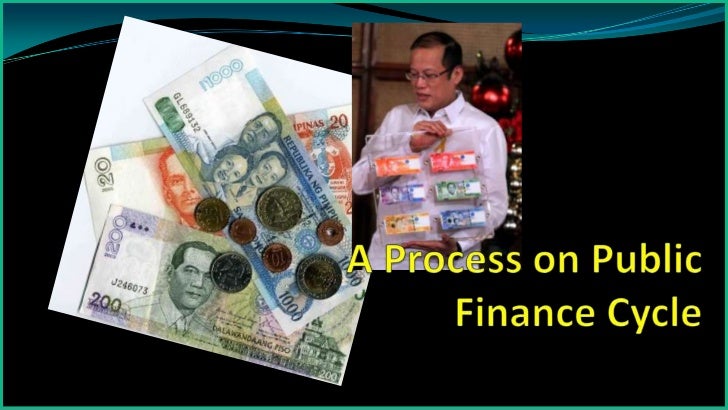Public Finance