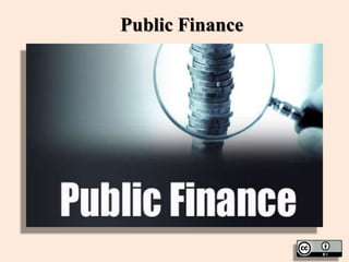 Public Finance
 