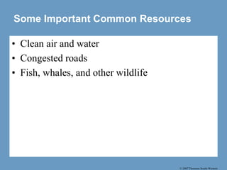 © 2007 Thomson South-Western
Some Important Common Resources
• Clean air and water
• Congested roads
• Fish, whales, and other wildlife
 