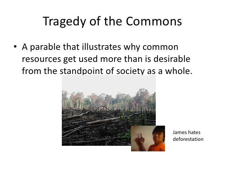 Public Goods and Common Resources (By Blake and Paul)
