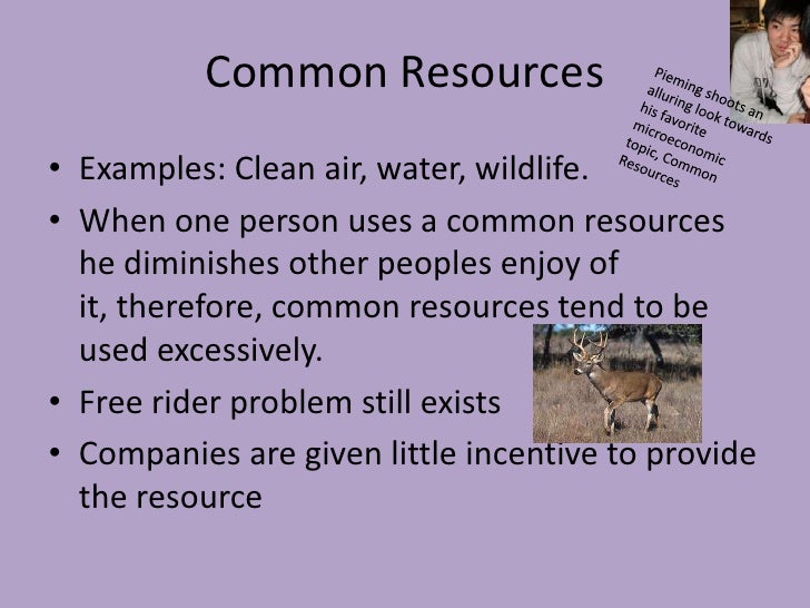 Public Goods and Common Resources (By Blake and Paul)