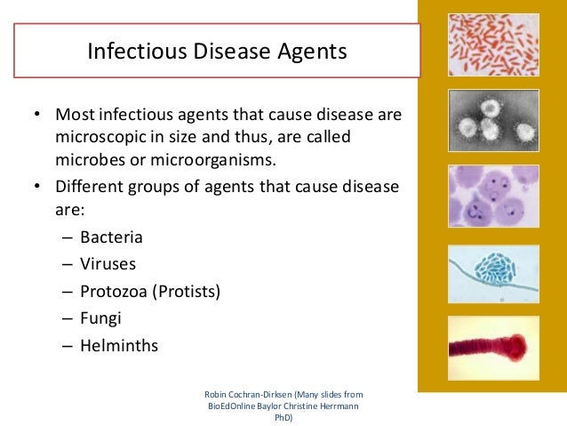 Public health and infectious disease