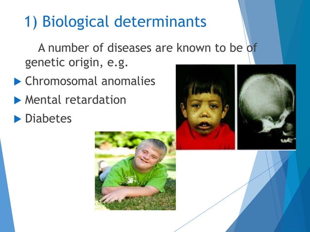 Public Health Intro pptx public-health-intro-pptx