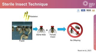Sterile Insect Technique
+
Radiation
Pupae
Sterile Male Female
Insect
No Offspring
Nazni wt al., 2021
 