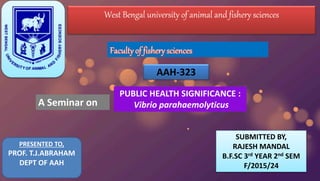 West Bengal university of animal and fishery sciences
A Seminar on
AAH-323
PUBLIC HEALTH SIGNIFICANCE :
Vibrio parahaemolyticus
PRESENTED TO,
PROF. T.J.ABRAHAM
DEPT OF AAH
SUBMITTED BY,
RAJESH MANDAL
B.F.SC 3rd YEAR 2nd SEM
F/2015/24
 