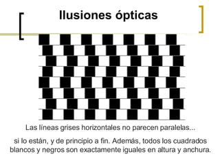 Ilusiones ópticas Las líneas grises horizontales no parecen paralelas... si lo están, y de principio a fin. Además, todos los cuadrados blancos y negros son exactamente iguales en altura y anchura. 