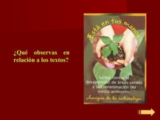 ¿Qué observas en
relación a los textos?
 