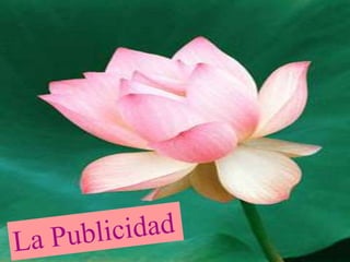 Publicidad deber5
