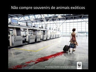 Não compre souvenirs de animais exóticos 