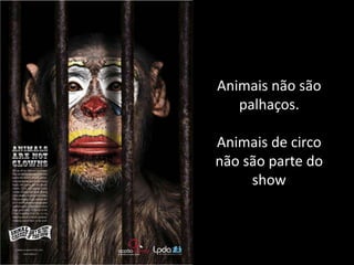 Animais não são
   palhaços.

Animais de circo
não são parte do
     show
 