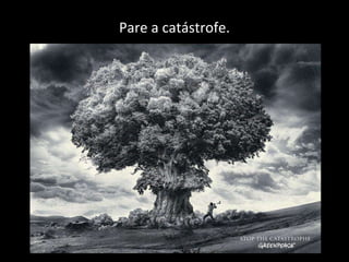 Pare a catástrofe. 