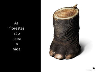 As  florestas são  para  a  vida 