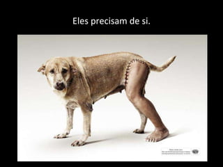 Eles precisam de si. 