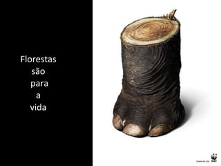 Florestas são  para  a  vida 
