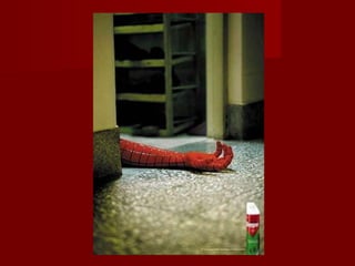 Publicidade criativa