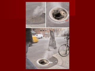 Publicidade criativa