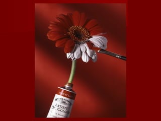 Publicidade criativa