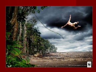 Publicidade criativa