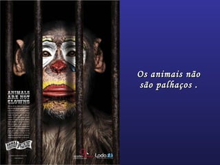 Os animais nãoOs animais não
são palhaços .são palhaços .
 