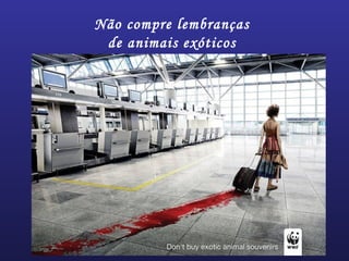 Não compre lembranças
de animais exóticos
 