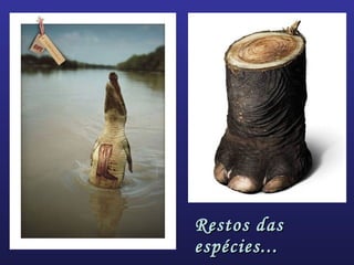 Restos dasRestos das
espécies...espécies...
 