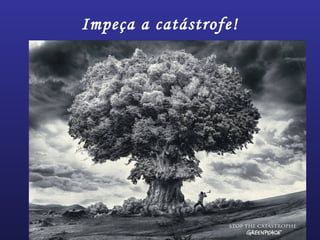 Impeça a catástrofe!
 