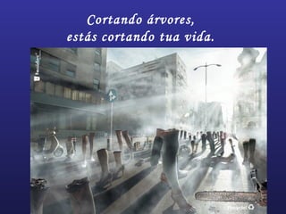 Cortando árvores,
estás cortando tua vida.
 