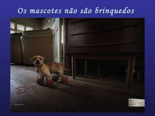 Os mascotes não são brinquedos
 